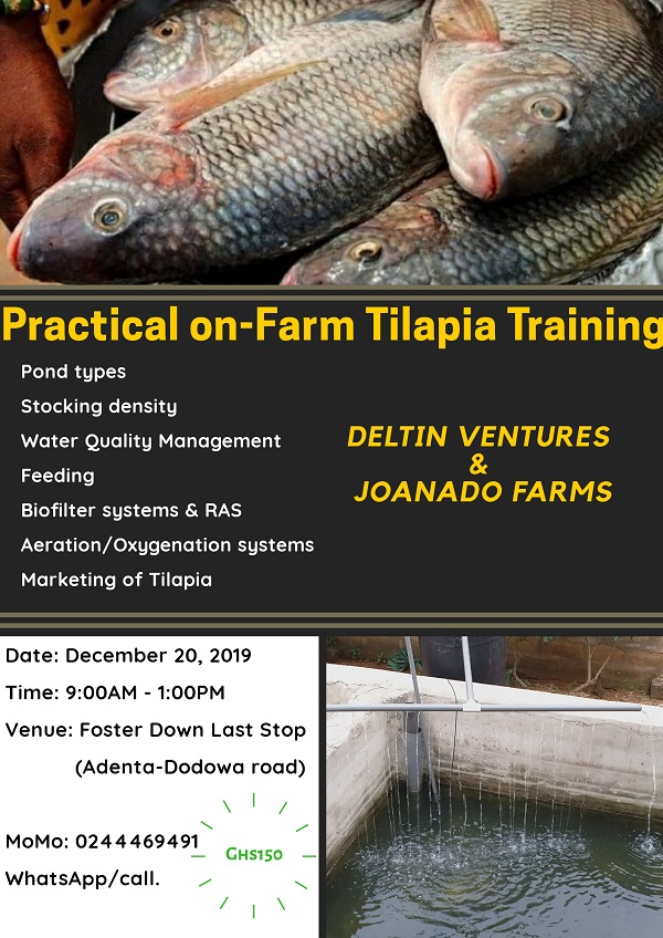 Handson Practical Training in Tilapia farming. DelTin Technologies